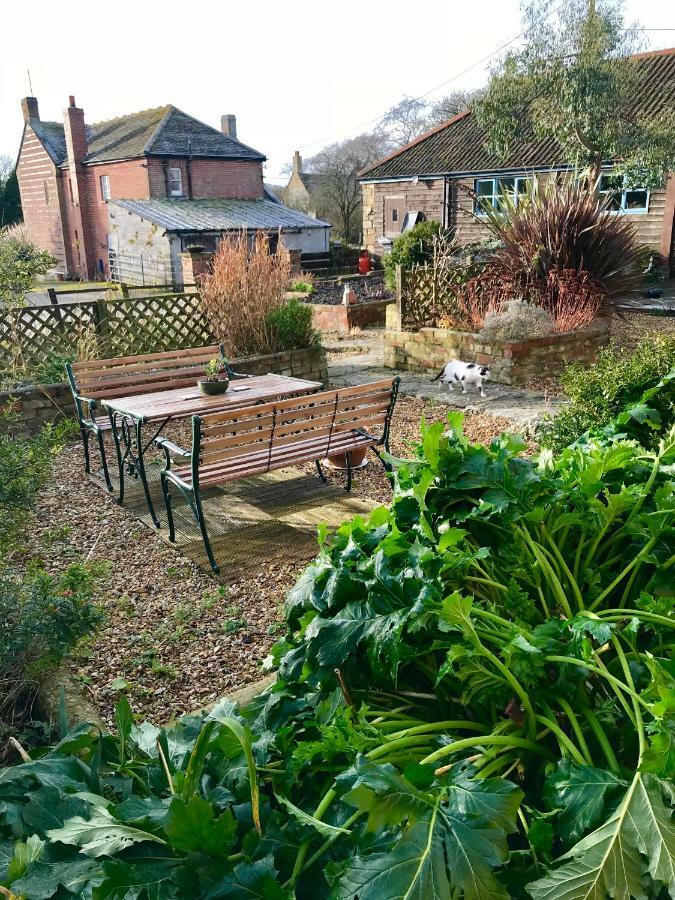 Home Barn Bed And Breakfast Yeovil Buitenkant foto